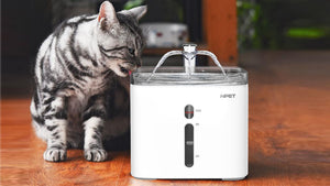 The Best Cat & Dog Water Fountains on NPET brand