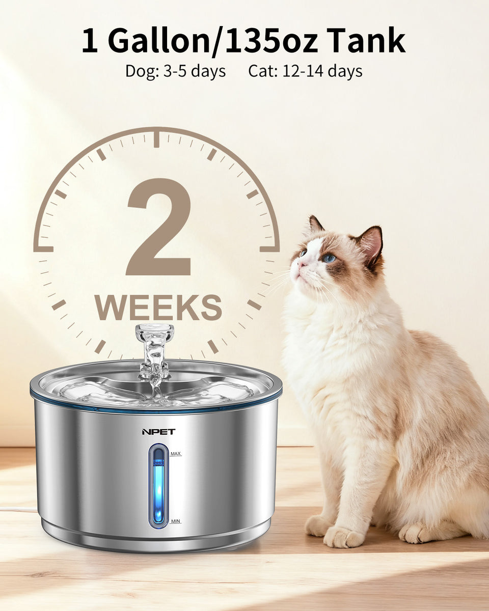 best cat water fountain NPET 1Gallon Stainless Steel Cat Water Fountain Automatic WF210plus