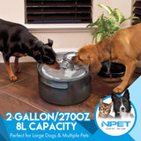 NPET 8L Dog Water Fountain with Splatter Guard DF30