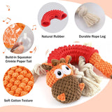 NPET Plush Dog Squeaky Toys for Chewing