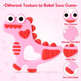 NPET Dinosaur Silicone Teethers Toy  for Baby 3-6/6-12 Months