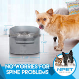 NPET 8L Dog Water Fountain with Splatter Guard DF30