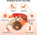 NPET Plush Dog Squeaky Toys for Chewing