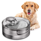 NPET 5L DF10 Automatique Fontaine à Eau pour Chien
