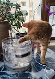 NPET 1,5 L WF050TP Fontaine à Eau pour Chat Les Chiots avec Capteur