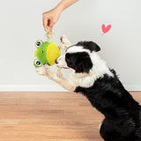 NPET Dog Squeaky Toys Soft Plush Chew Toy for Dogs