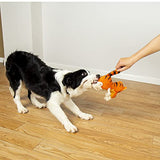 NPET Tiger Shape Stuffed Dog Squeaky Chewing Toys for Dog