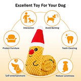 NPET Foldable Dog Chew Squeaky Toys For IQ Traning