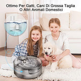 NPET 5L DF10 Automatique Fontaine à Eau pour Chien