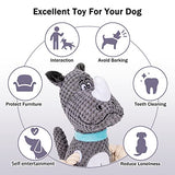 NPET Short Plush Dog Squeaky Chew Toys for Fun