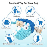 NPET Plush Dog Squeaky Toys for Chewing