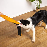 NPET Squeaky Stuffed Dog Chew Toys for IQ Traning