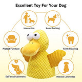 NPET Duck Shape Short Plush Chew Squeaky Toys for Dog