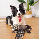 NPET Eagle Shape Chewing Squeaky Plush Toys for Dogs