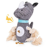 NPET Short Plush Dog Squeaky Chew Toys for Fun