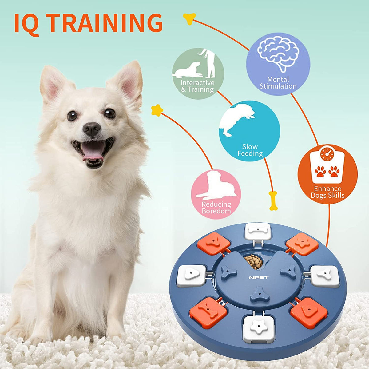 Puppy Toys 3-Level Dog Puzzle Toy Mental Stimulation Game For