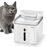 cat dog water fountain