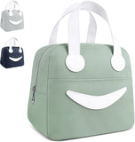NPET Insulated Lunch Bag, 9.3 x 5.5 x 8.1 inch