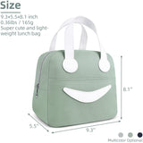 NPET Insulated Lunch Bag, 9.3 x 5.5 x 8.1 inch