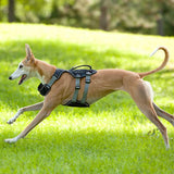 NPET Dog Harness No-Pull Pet Vest for Puppy Large Dogs