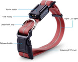 NPET LED Dog Collar Rechargeable Adjustable Collar