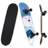 skateboard college