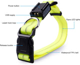 NPET LED Dog Collar Rechargeable Adjustable Collar
