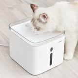 white cat water fountain