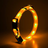 NPET LED Dog Collar Rechargeable Adjustable Collar