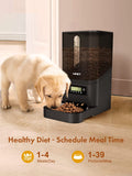 NPET 1.59 Gallon Automatic Pet Feeder Food Dispenser