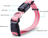 NPET LED Dog Collar Rechargeable Adjustable Collar