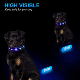 NPET LED Dog Collar Rechargeable Adjustable Collar