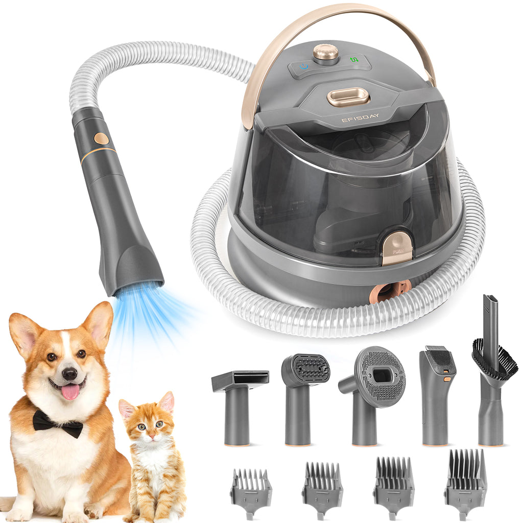 What To Know About Corgi Shedding And Corgi Grooming Tools