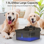 NPET 2.1gallon/8L Dog Water Fountain