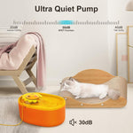 NPET 67oz Orange Cat Water Fountain With LED Lighting - NC010