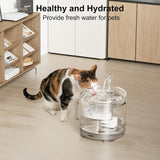 NPET Upgrade 51 oz. Cat Water Fountain - WF050