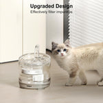 NPET Upgrade 51 oz. Cat Water Fountain - WF050