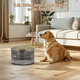 NPET 5.5L Dog Water Fountain with Splash Guard-DF20