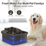 NPET 2.1gallon/8L Dog Water Fountain