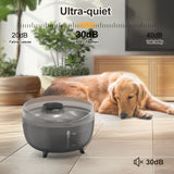 NPET 5.5L Quiet Dog Water Fountain Wiht LED Light DF40