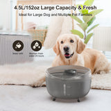 NPET 5.5L Quiet Dog Water Fountain Wiht LED Light DF40