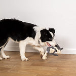 NPET Short Plush Dog Squeaky Chew Toys for Fun
