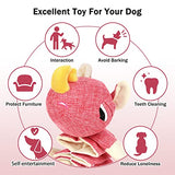 NPET Stuffed Dog Chew Squeaky Toys Crinkle for Dog