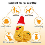 NPET Foldable Dog Chew Squeaky Toys For IQ Traning