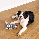 NPET Short Plush Dog Squeaky Chew Toys for Fun