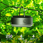NPET LED lantern, solar rechargeable,waterproof  [set of 2]