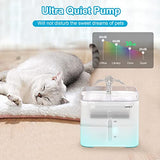 NPET 101oz Automatic Pet Water Fountain with Auto Shut-Off LED Pump