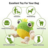 NPET Dog Squeaky Toys Soft Plush Chew Toy for Dogs