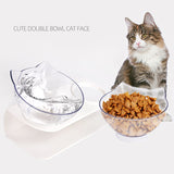 Elevated Cat Dog Double Bowls For Food And Water