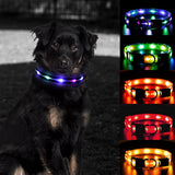 NPET LED Dog Collar Rechargeable Adjustable Collar